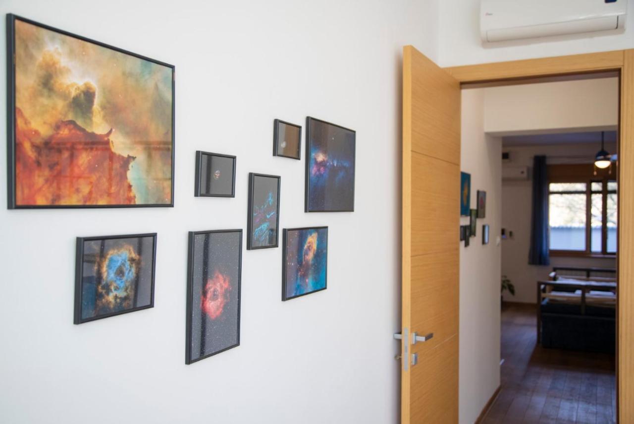 Sava Apartment Novi Sad Dış mekan fotoğraf
