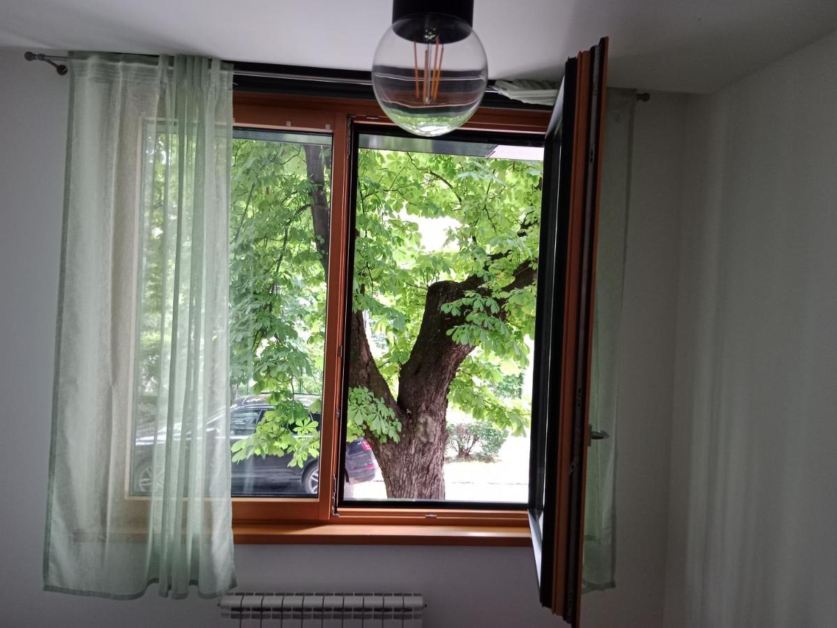 Sava Apartment Novi Sad Dış mekan fotoğraf