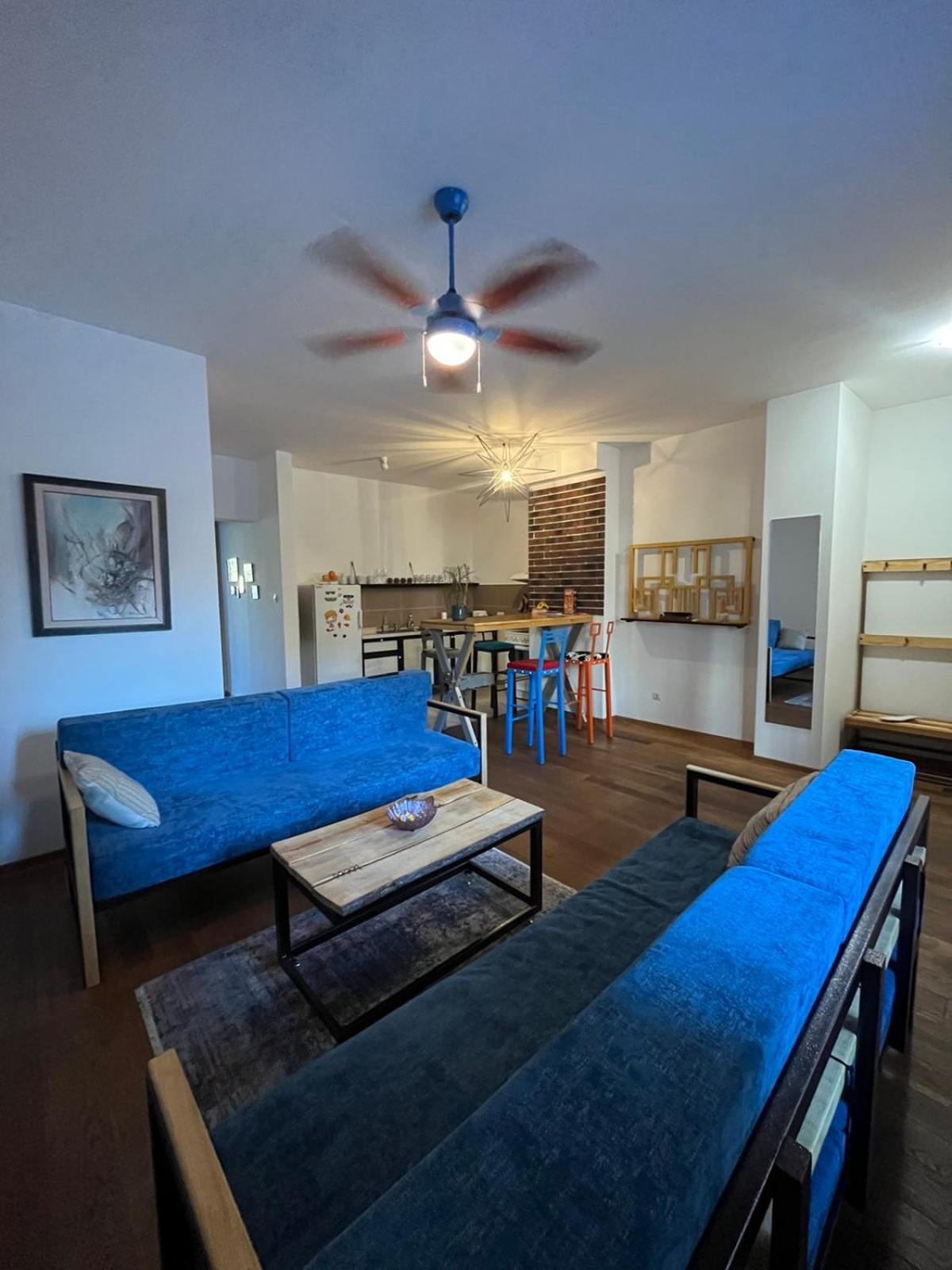 Sava Apartment Novi Sad Dış mekan fotoğraf